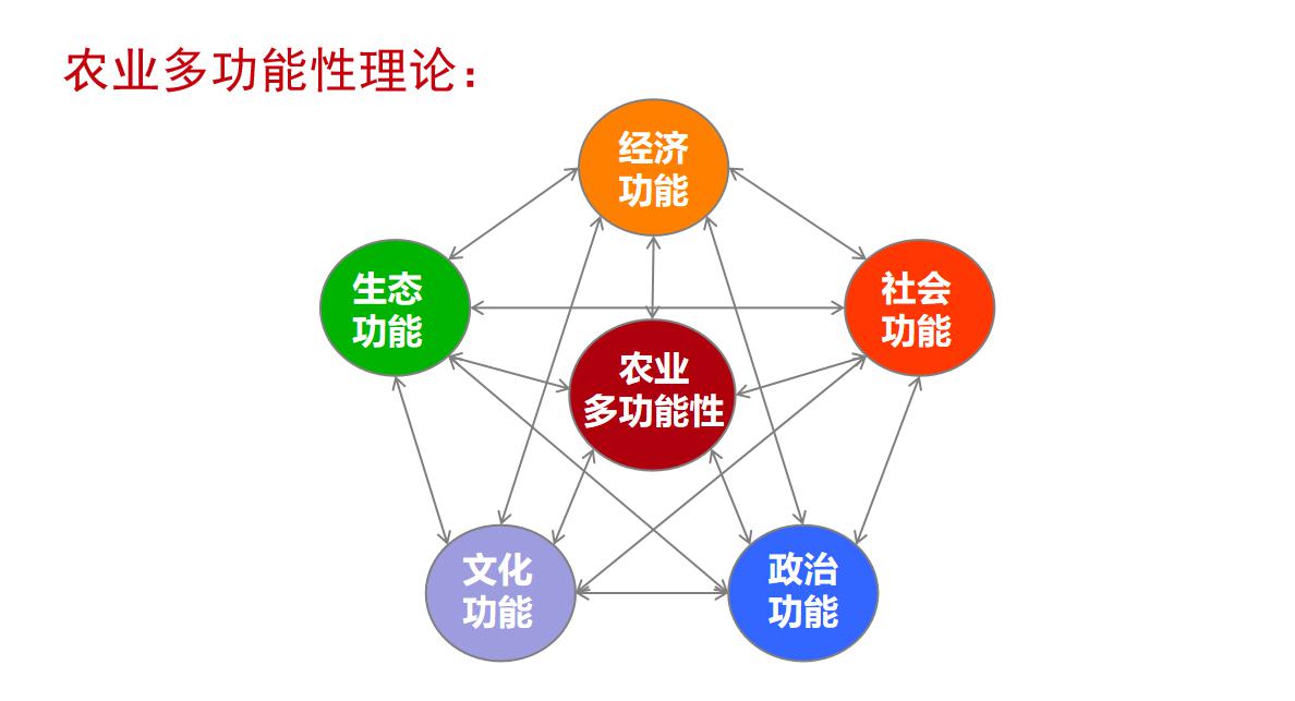 历史机遇|品牌农业成为未来农业发展升级的最大机遇(图8)
