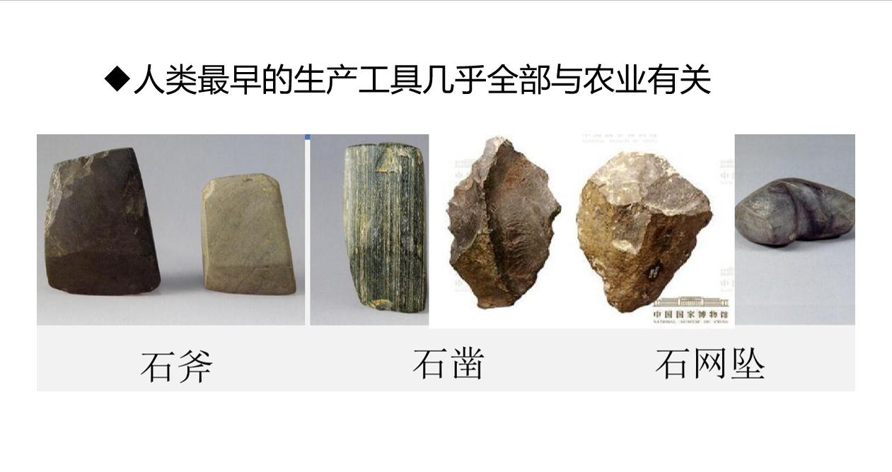 历史机遇|品牌农业成为未来农业发展升级的最大机遇(图3)