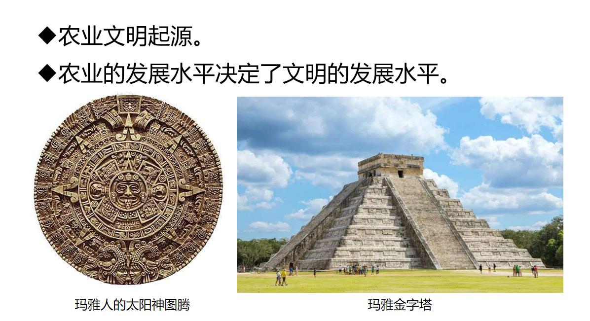 历史机遇|品牌农业成为未来农业发展升级的最大机遇(图4)