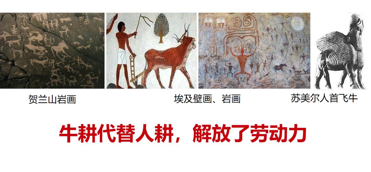 历史机遇|品牌农业成为未来农业发展升级的最大机遇(图5)