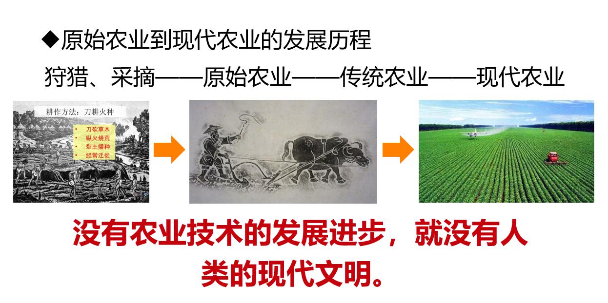 历史机遇|品牌农业成为未来农业发展升级的最大机遇(图6)