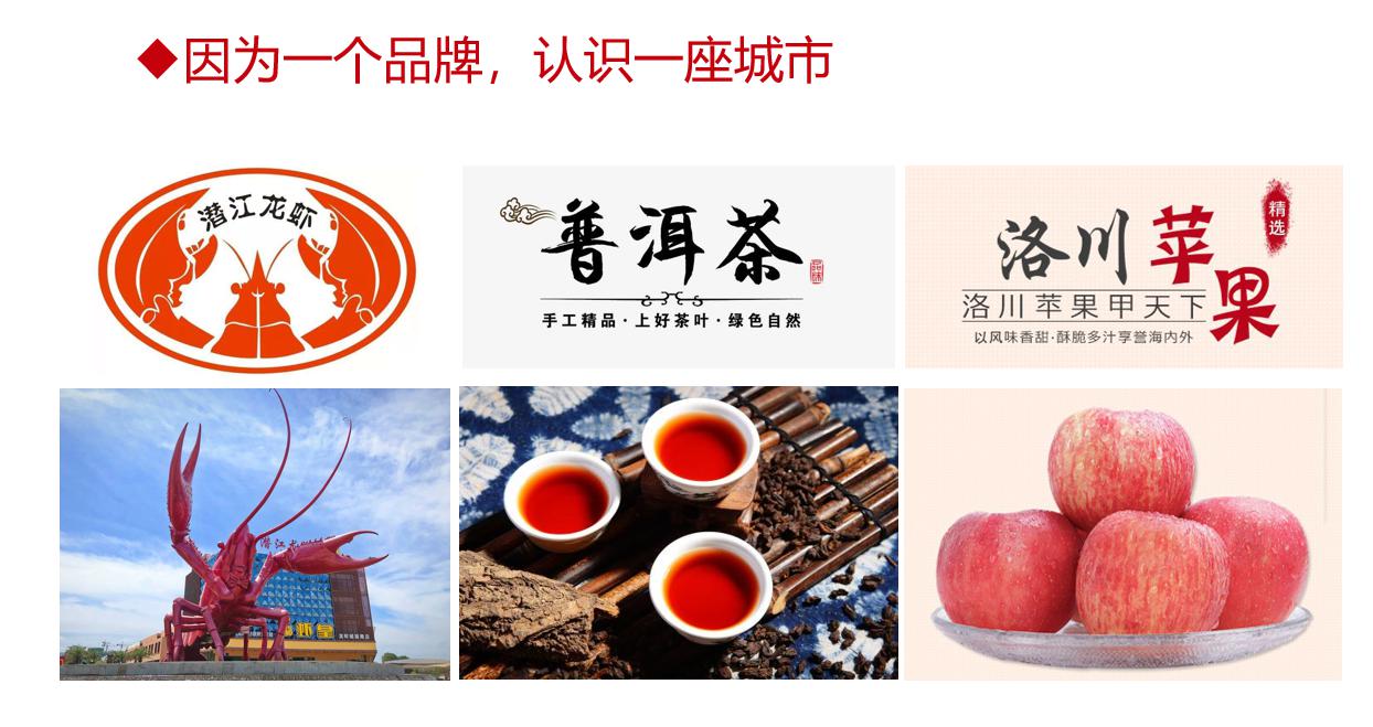 历史机遇|品牌农业成为未来农业发展升级的最大机遇(图13)