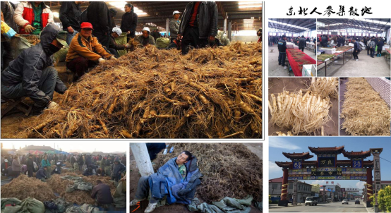 产业升级|品牌农业如何引领农业产业化升级(图6)