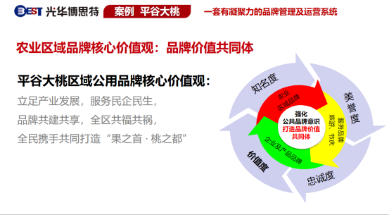 价值重塑|如何提升农业区域品牌的品牌价值和影响力(图9)