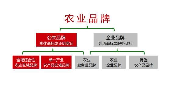 模式打造|如何选择农业区域品牌运营模式(图2)