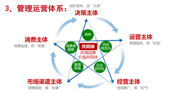 生态构建|如何运用一体化运营模型指导区域品牌建设(图6)