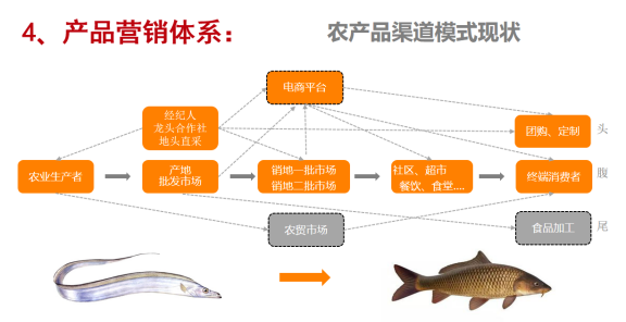 生态构建|如何运用一体化运营模型指导区域品牌建设(图8)