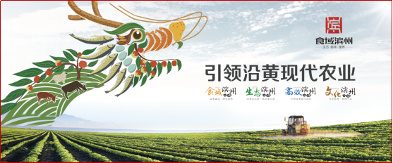 滨州模式丨全域综合性农业区域公用品牌成功打造之路 ——食域滨州区域公用品牌项目案例(图4)