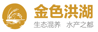 品牌矩阵丨价值统一型农业区域品牌赋能产业升级 ——洪湖水产区域公用品牌项目案例(图4)