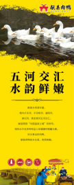 产业升级丨从特色产品到产业集群的战略升级——献县肉鸭区域公用品牌项目案例(图10)