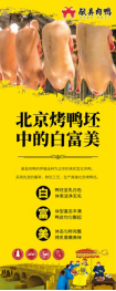 产业升级丨从特色产品到产业集群的战略升级——献县肉鸭区域公用品牌项目案例(图11)