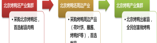 产业升级丨从特色产品到产业集群的战略升级——献县肉鸭区域公用品牌项目案例(图3)
