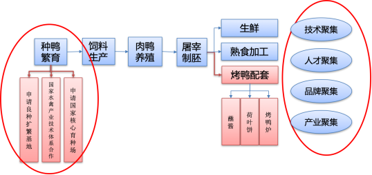 产业升级丨从特色产品到产业集群的战略升级——献县肉鸭区域公用品牌项目案例(图4)