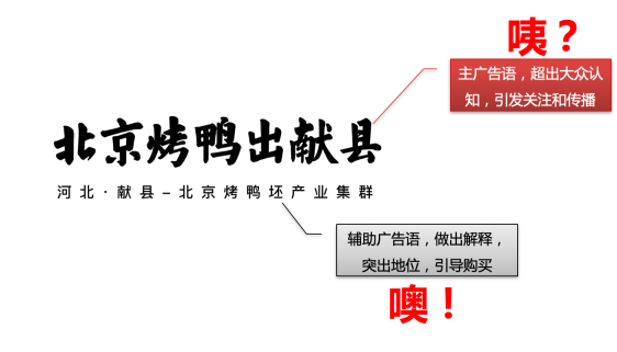 产业升级丨从特色产品到产业集群的战略升级——献县肉鸭区域公用品牌项目案例(图8)