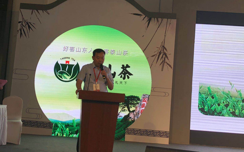 厉害！“泰山茶品牌”推荐会亮相第三届中国国际茶叶博览会(图1)