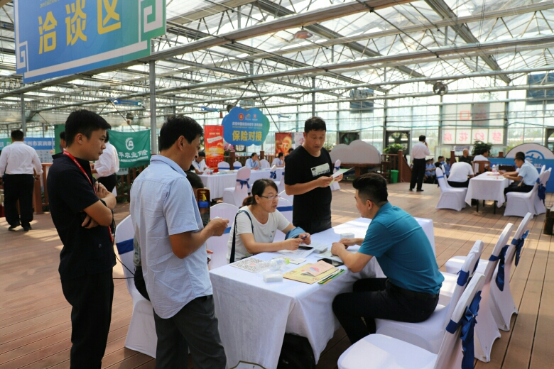 “食域滨州”庆丰收  ——滨州市庆祝2019中国农民丰收节系列活动精彩纷呈(图7)