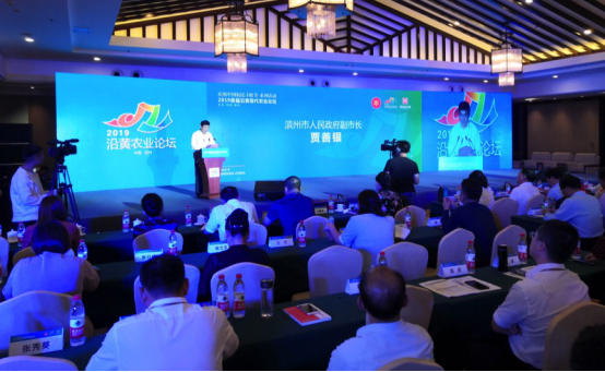 “食域滨州”庆丰收  ——滨州市庆祝2019中国农民丰收节系列活动精彩纷呈(图12)