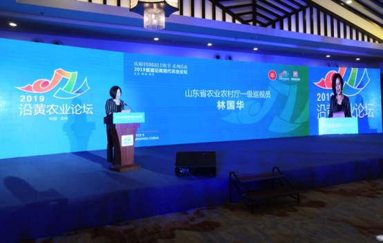 “食域滨州”庆丰收  ——滨州市庆祝2019中国农民丰收节系列活动精彩纷呈(图13)