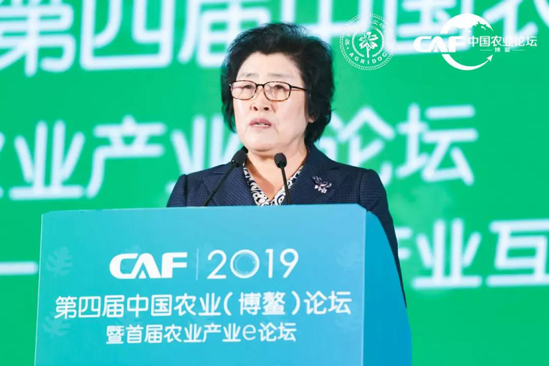 凝聚农业智慧彰显中国力量2019第四届中国农业（博鳌）论坛为农业注入新动力 (图6)