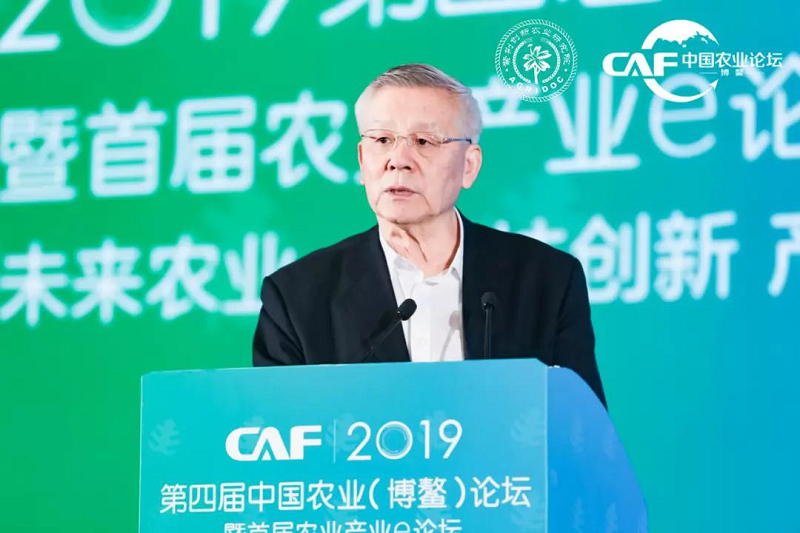 凝聚农业智慧彰显中国力量2019第四届中国农业（博鳌）论坛为农业注入新动力 (图8)