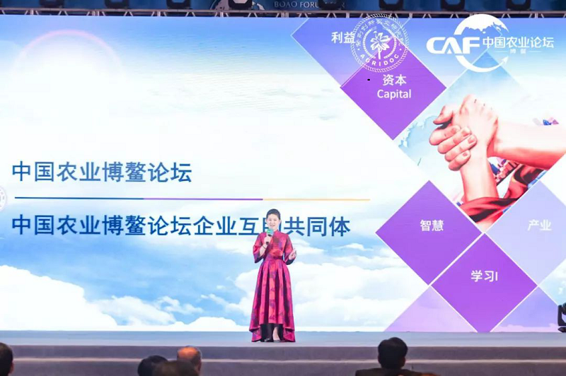 凝聚农业智慧彰显中国力量2019第四届中国农业（博鳌）论坛为农业注入新动力 (图11)
