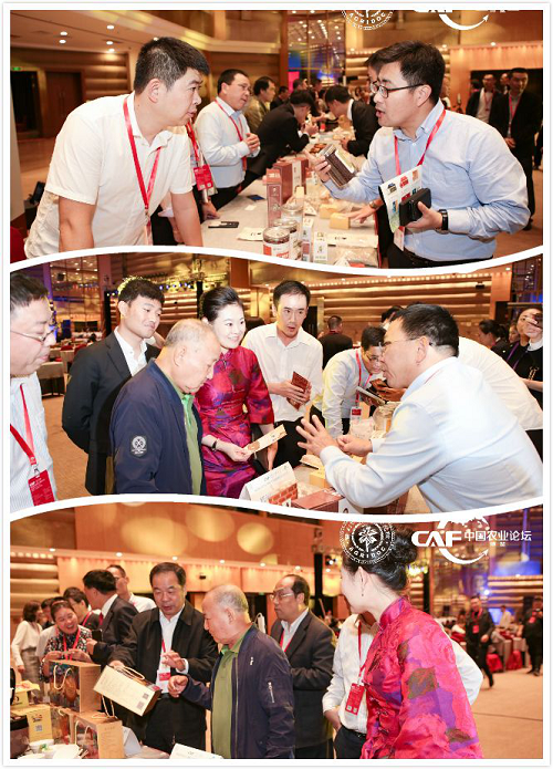 凝聚农业智慧彰显中国力量2019第四届中国农业（博鳌）论坛为农业注入新动力 (图26)
