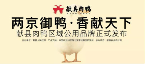 “献县肉鸭”区域公用品牌发布会在献县召开(图2)