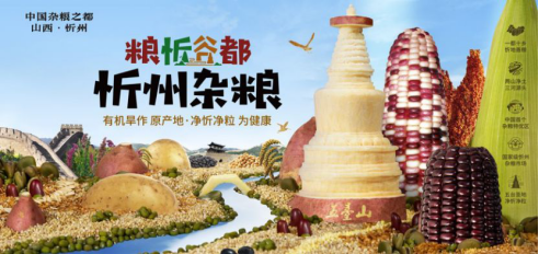 农交会亮点回顾： 农业区域品牌大放异彩，光华博思特塑造专业品牌(图15)