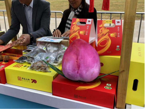 农交会亮点回顾： 农业区域品牌大放异彩，光华博思特塑造专业品牌(图17)
