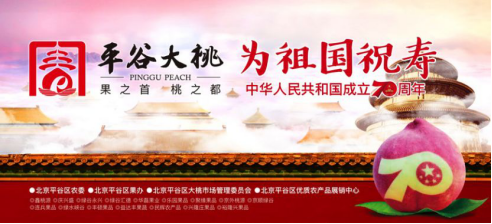 农交会亮点回顾： 农业区域品牌大放异彩，光华博思特塑造专业品牌(图19)