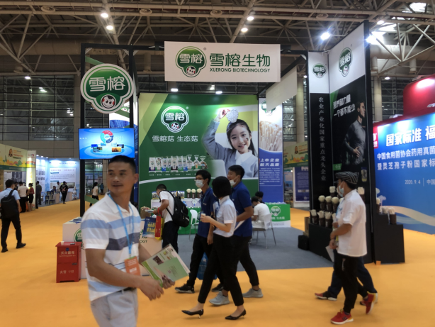 《2020中国食用菌行业大数据报告》正式发布——首届中国(福建)食用菌产业博览会盛大开幕(图12)
