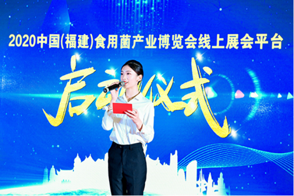 《2020中国食用菌行业大数据报告》正式发布——首届中国(福建)食用菌产业博览会盛大开幕(图4)