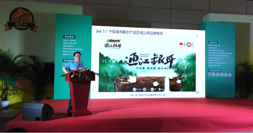 《2020中国食用菌行业大数据报告》正式发布——首届中国(福建)食用菌产业博览会盛大开幕(图5)