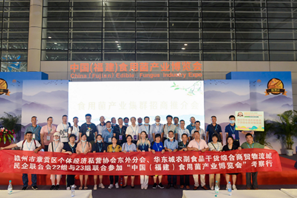 《2020中国食用菌行业大数据报告》正式发布——首届中国(福建)食用菌产业博览会盛大开幕(图20)