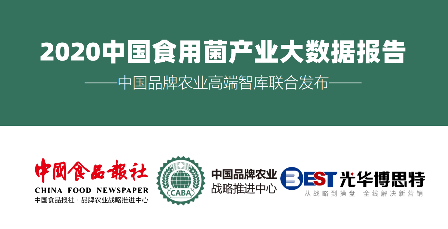 《2020中国食用菌行业大数据报告》正式发布——首届中国(福建)食用菌产业博览会盛大开幕(图6)