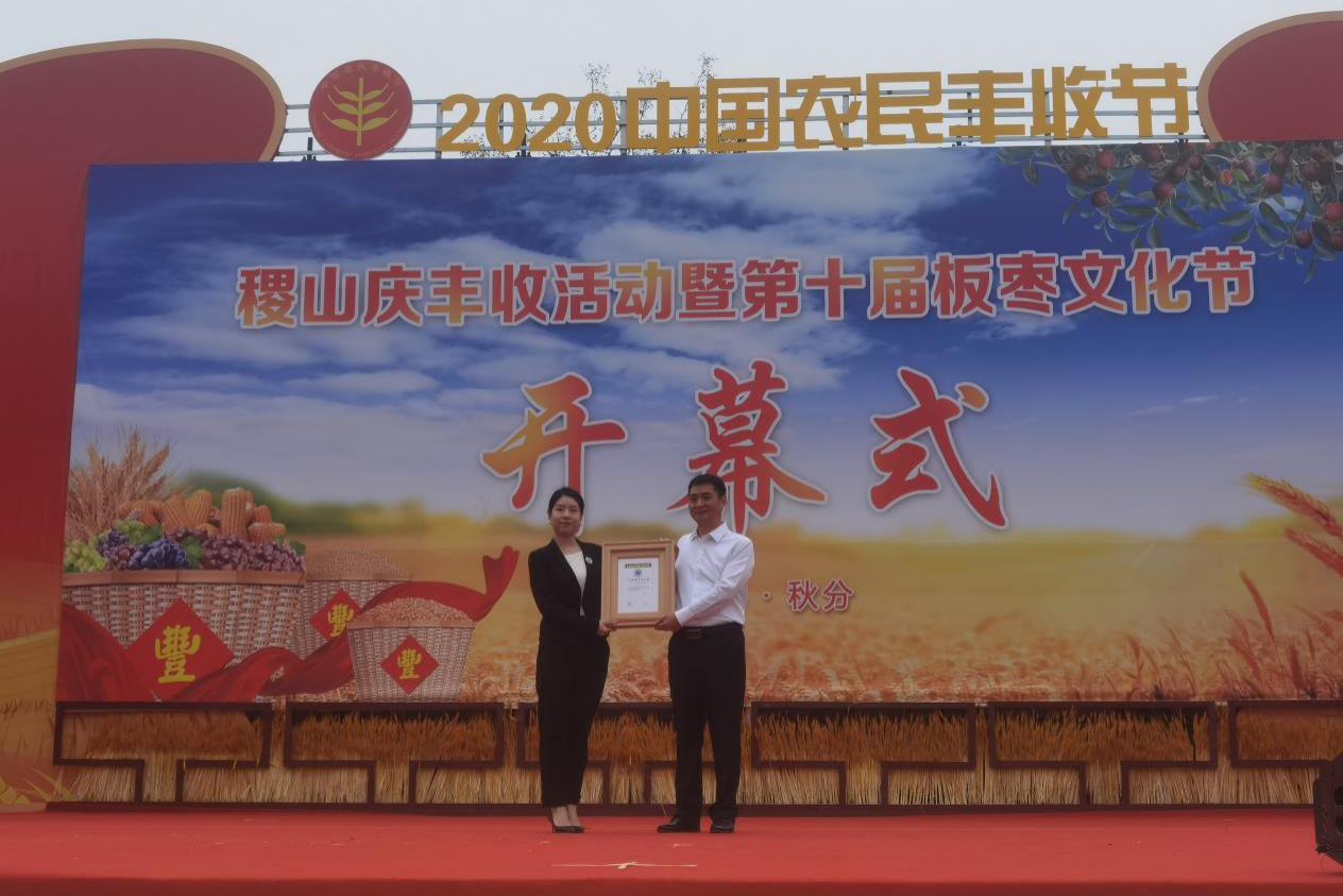 后稷故里庆丰收，板枣之乡迎小康——稷山庆丰收活动暨第十届板枣文化节开幕(图2)