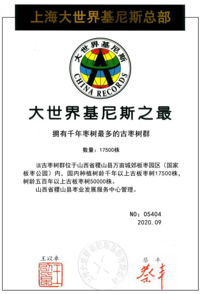 后稷故里庆丰收，板枣之乡迎小康——稷山庆丰收活动暨第十届板枣文化节开幕(图3)