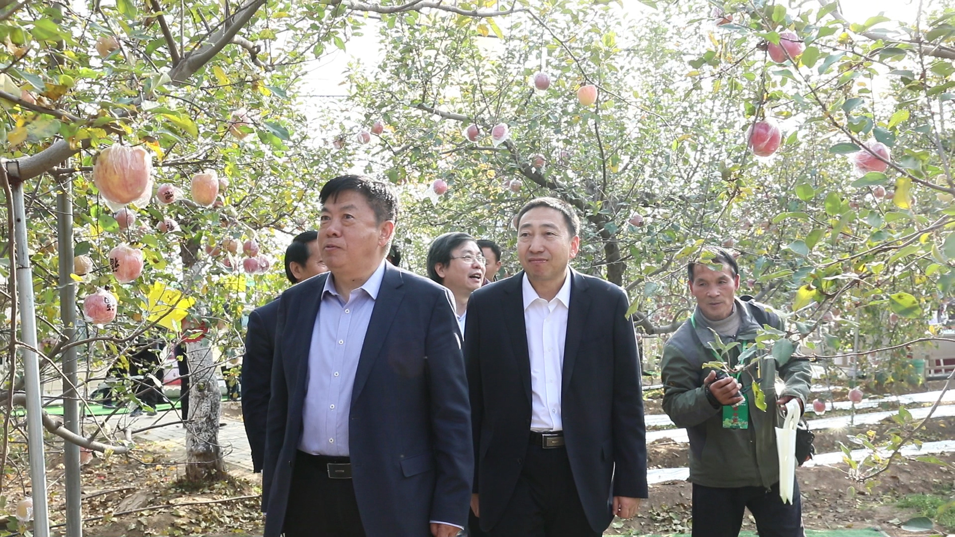 文化振兴，运才兴运 助力临猗果业产业高质量发展 第九届山西临猗果品文化节胜利开幕(图5)